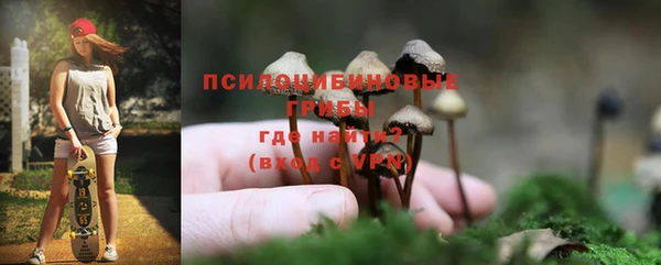 гидра Баксан