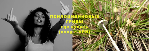 гидра Баксан