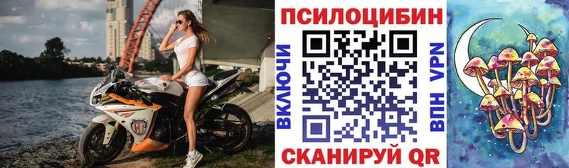 где можно купить Ангарск Галлюциногенные грибы MAGIC MUSHROOMS